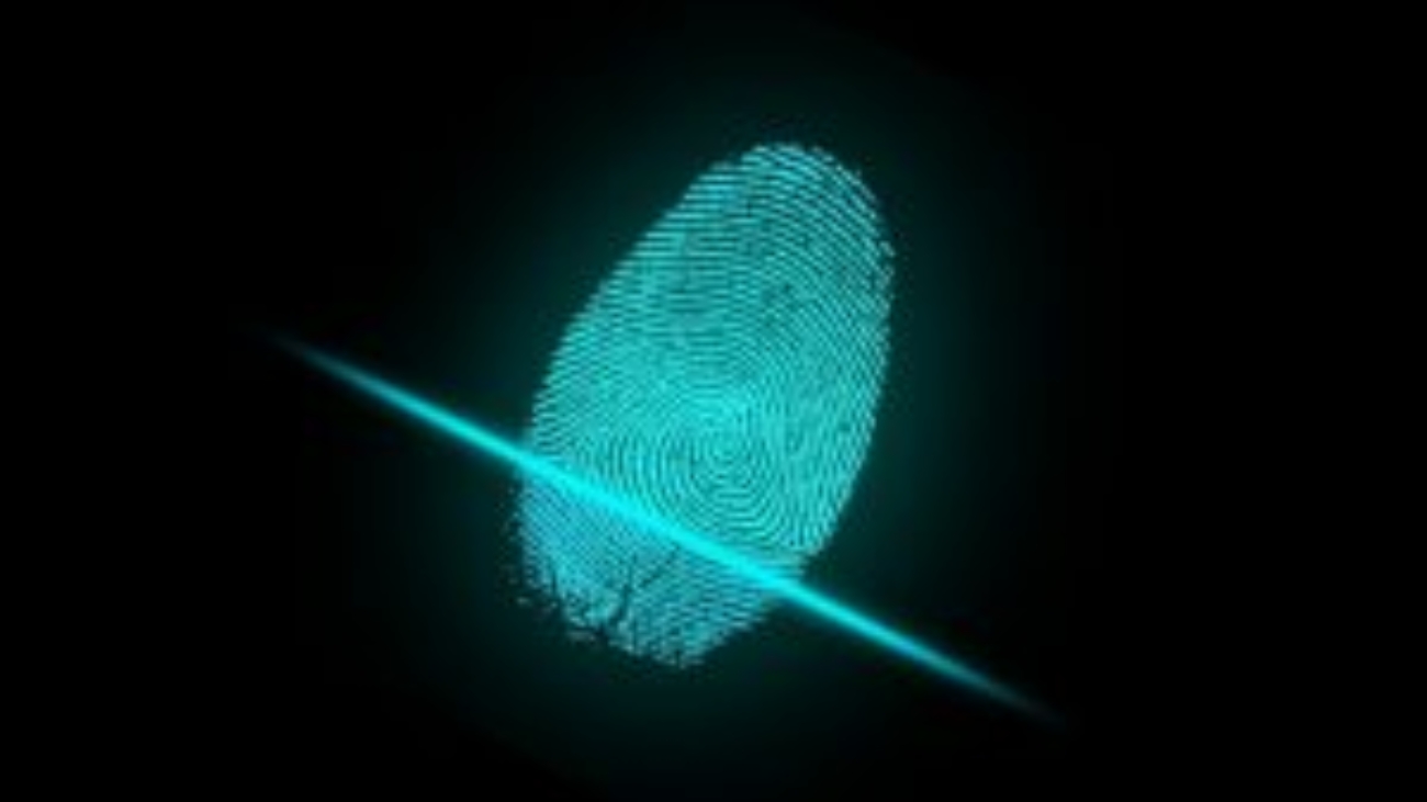 finger-2081169_1280-300x169