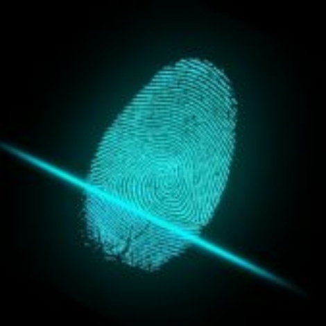 finger-2081169_1280-300x169