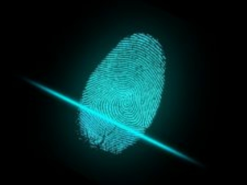 finger-2081169_1280-300x169
