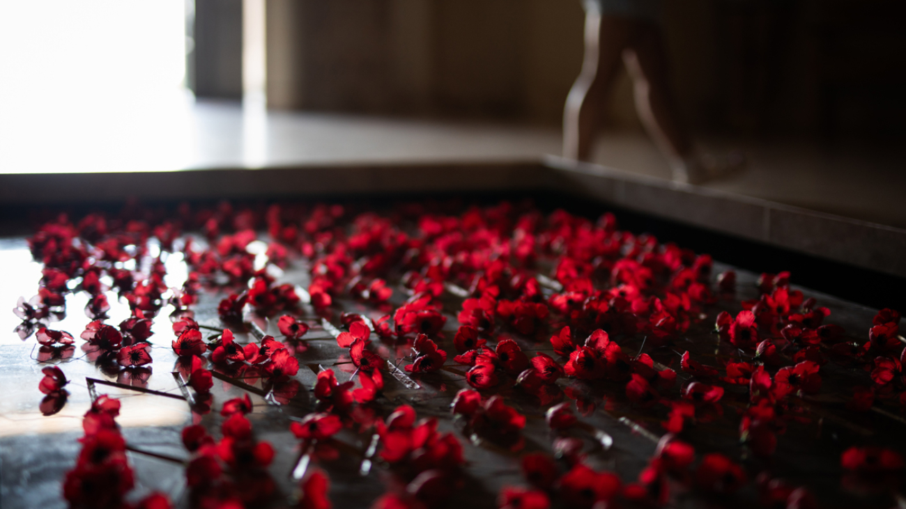 rose-petal