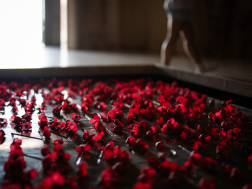 rose-petal
