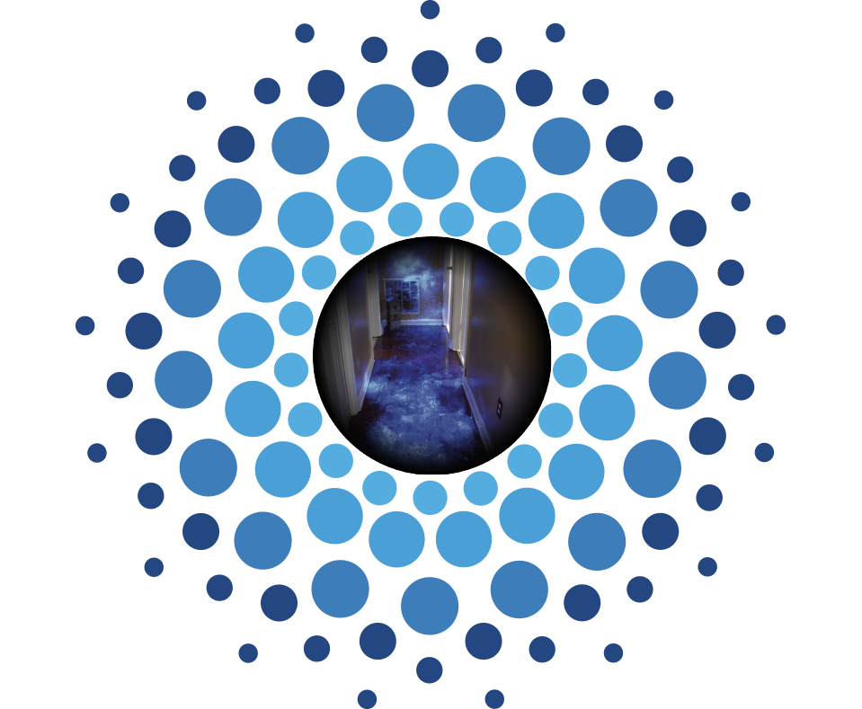 Bluestar-unic-forensic