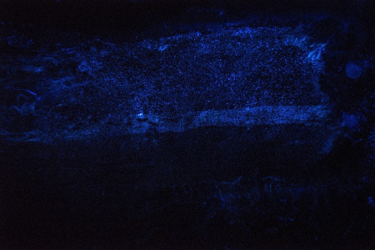 textile_detail_bluestar